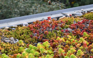 the cost of Edymore green roof installation