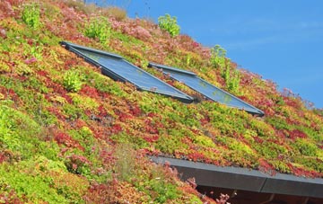 Edymore living roof systems