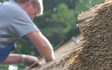 professional Edymore thatchers