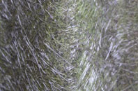 Edymore fibreglass roof work